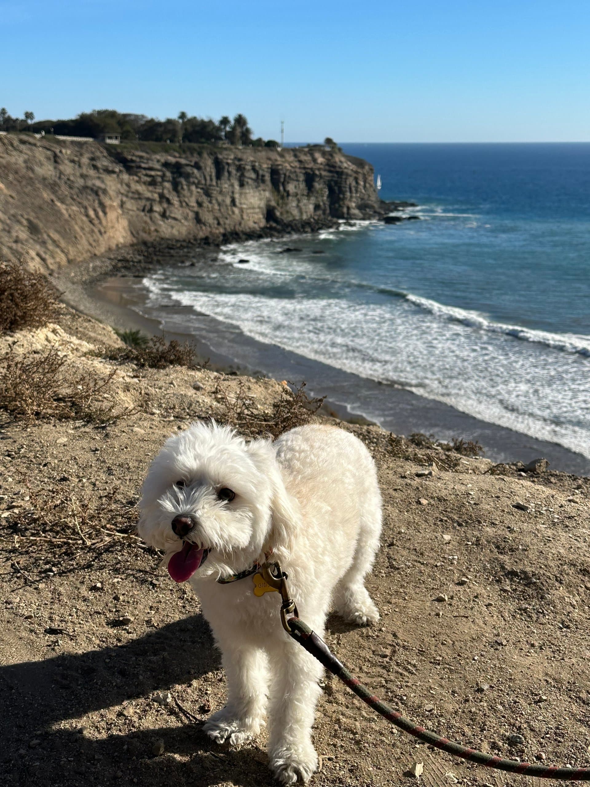 Kirby at the San Pedro cliffs
